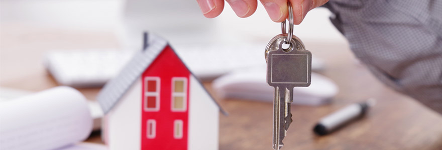 logement neuf